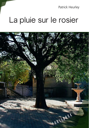 lapluiesurlerosier