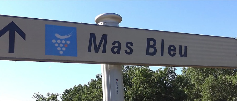 Le Mas Bleu - Les vignes