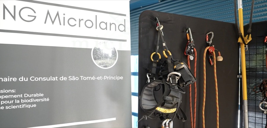 Microland
