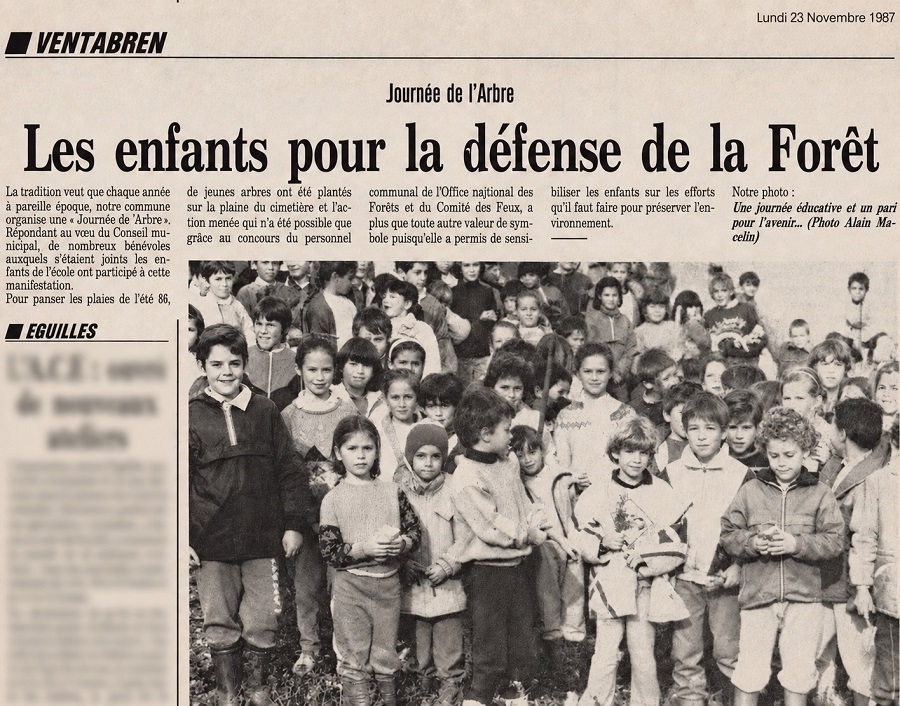 La journée de l'arbre