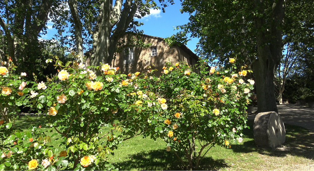 Le moulin de la Recense Part.2
